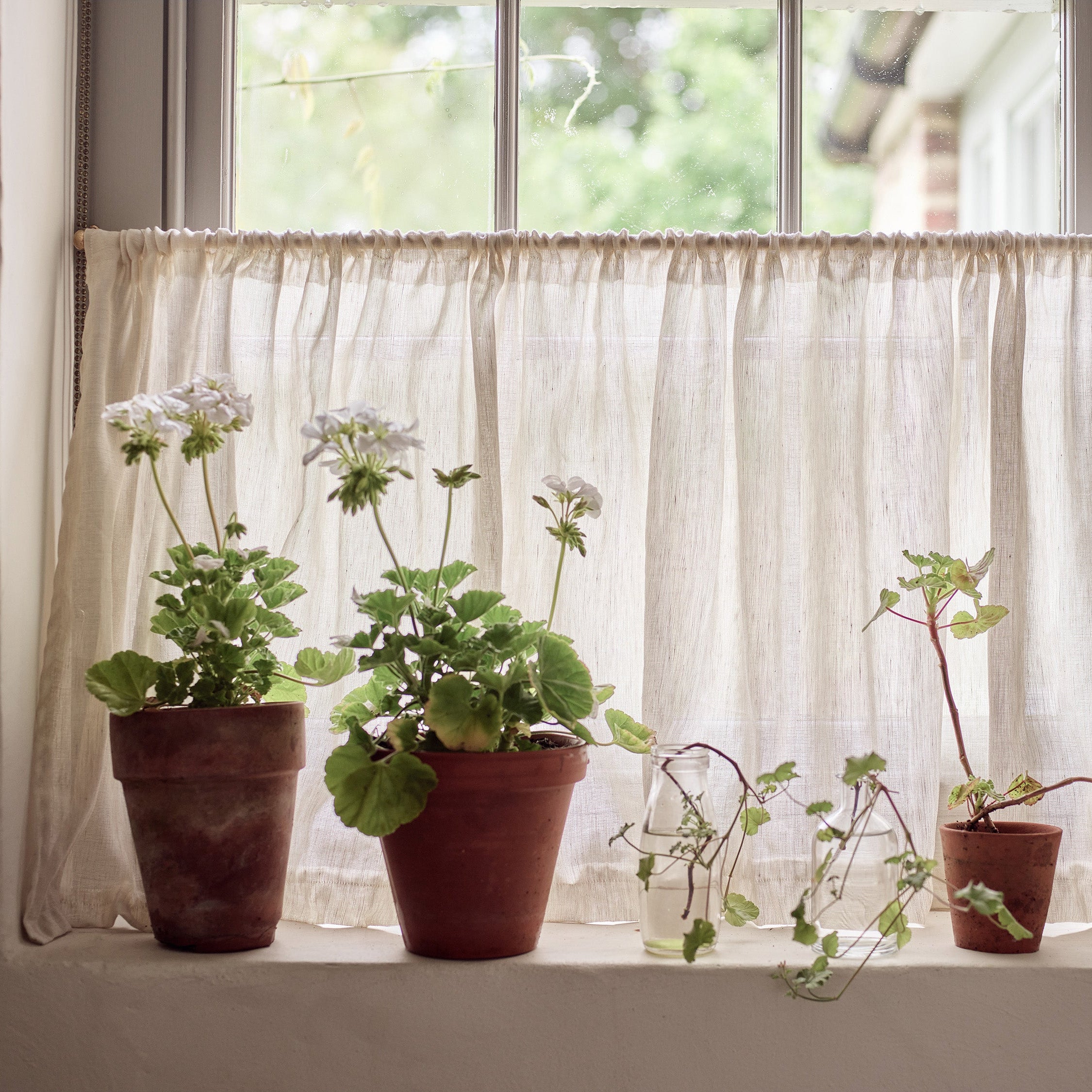 Sheer Linen Natural Curtain (Single) with 4cm Cafe Curtain Header (Ex Shoot Piece)