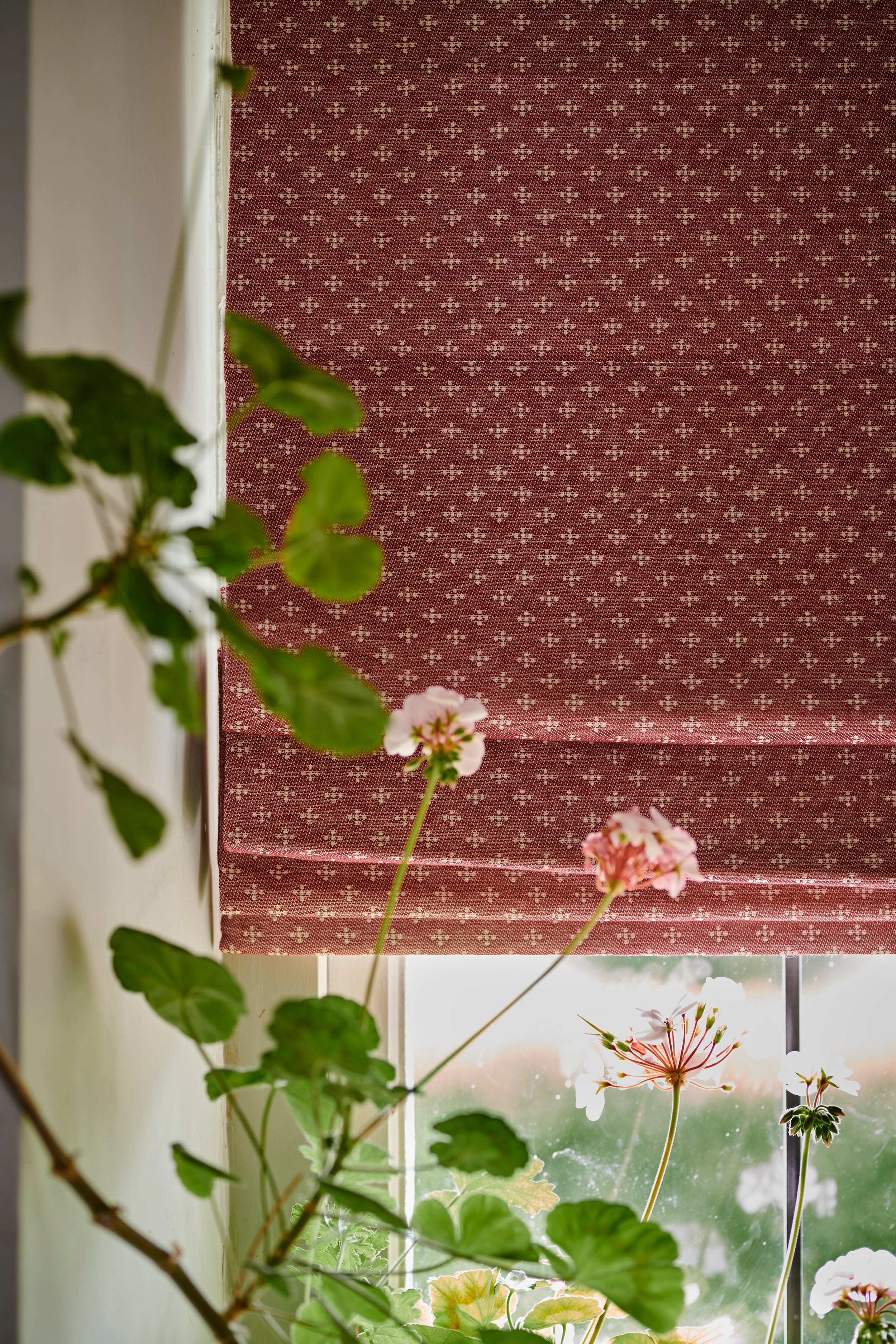 Ditsy Cotton Claret Roman Blind (Ex Shoot Piece)
