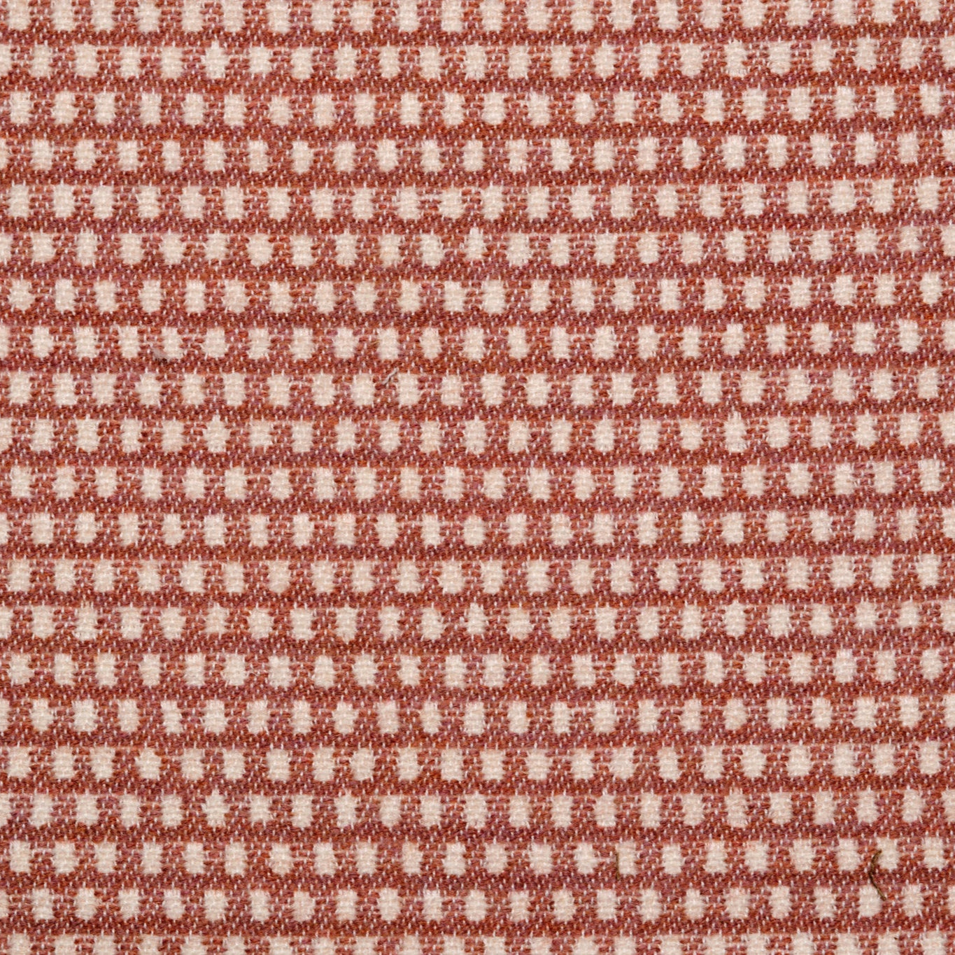 NEW Curtain Classic Clarendon Merino Wool Blush