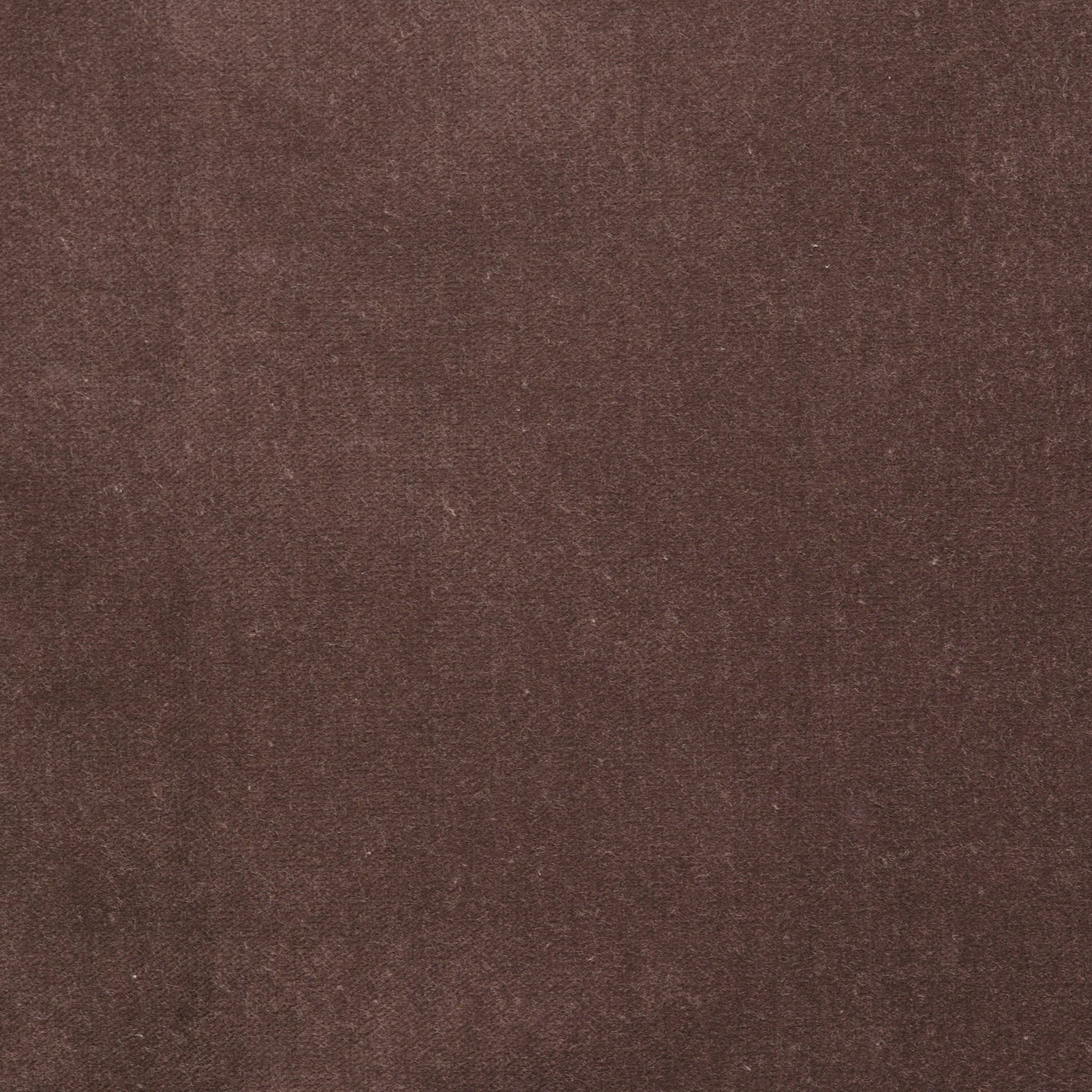 NEW Curtain Velvet Fabric Chestnut