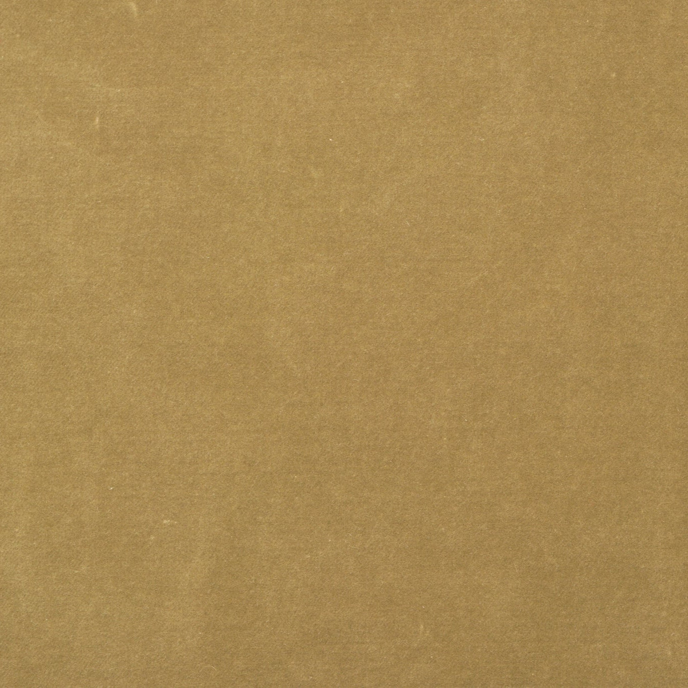 NEW Curtain Velvet Fabric Sage