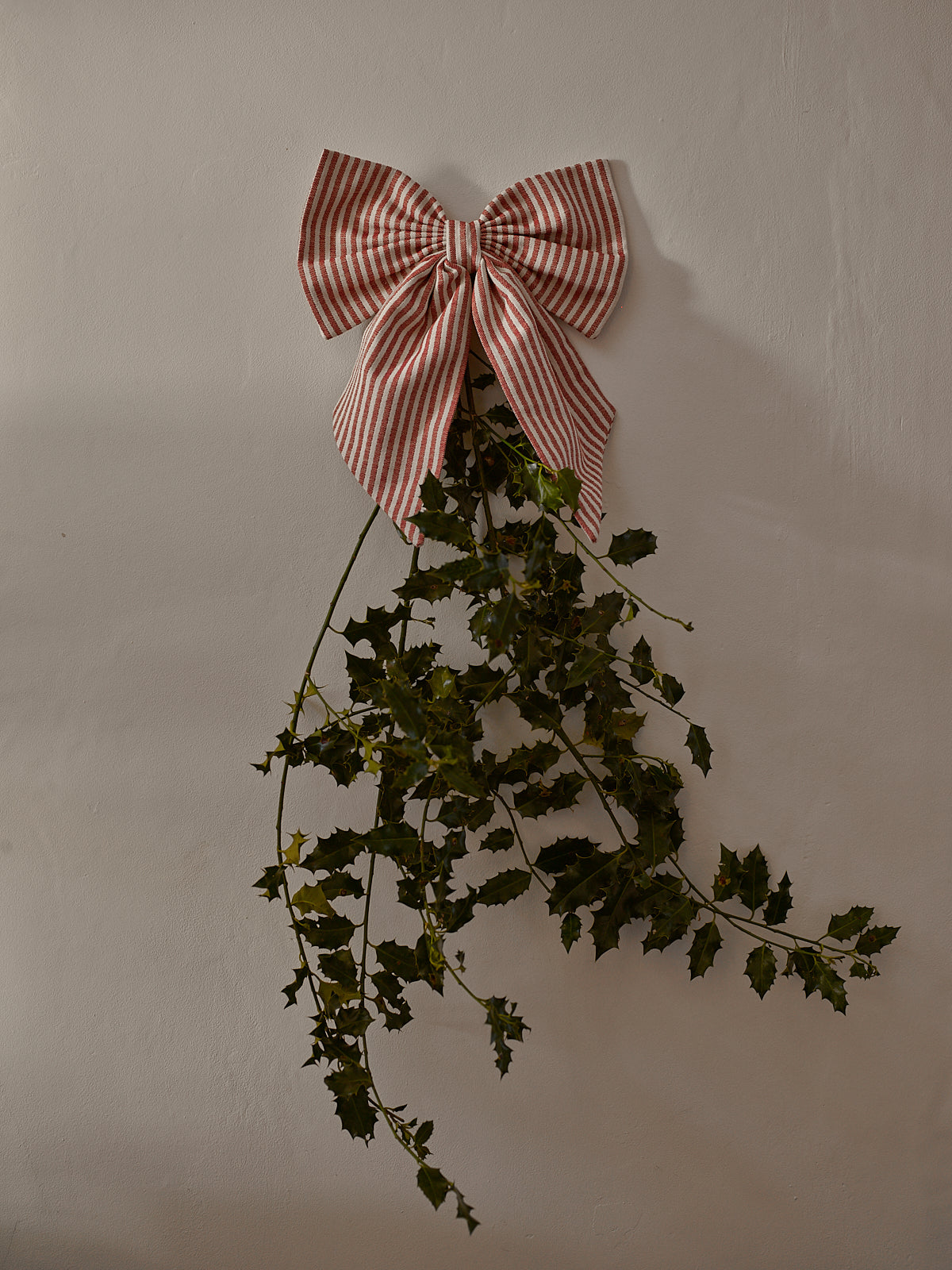 Climbing Chevy Bow - Radish